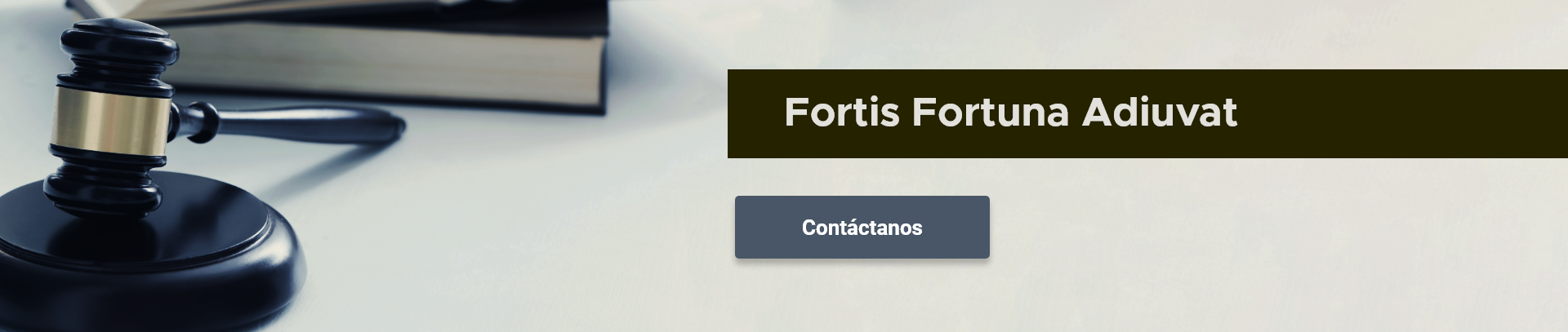 Banner con frase y boton